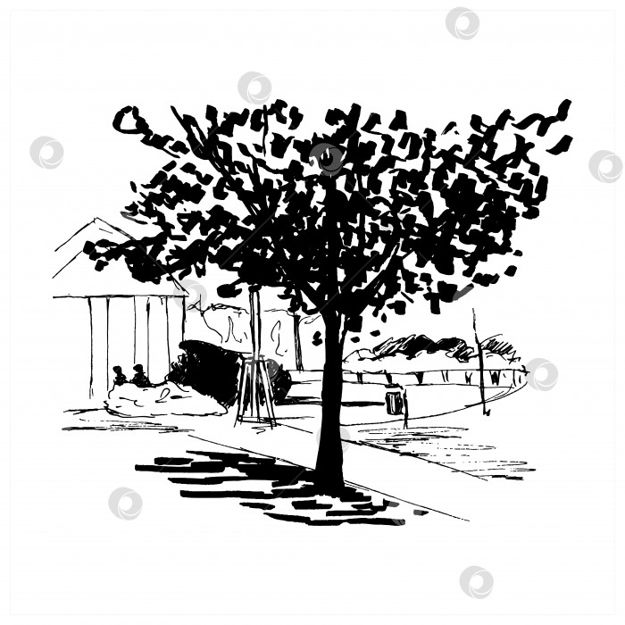 Скачать Пейзажный набросок. Дерево в парке, нарисованный от руки фрагмент городского пейзажа, векторная иллюстрация, выделенная на белом фоне. фотосток Ozero
