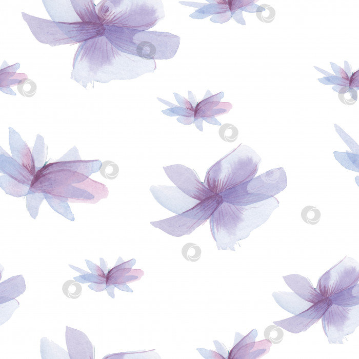 Скачать Нежный весенний фон, узор из фиолетовых цветов. Акварельные фиолетовые цветы, нарисованные от руки, выделенные на белом фоне. Бесшовный фон фотосток Ozero