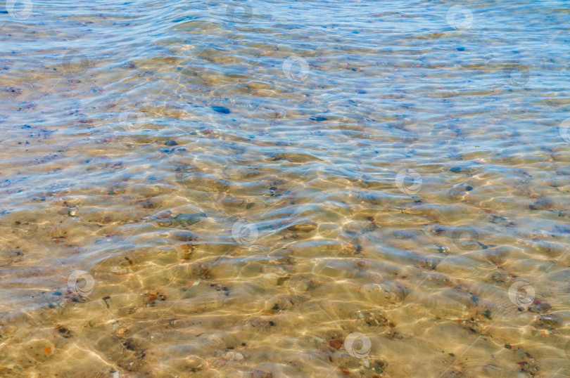 Скачать Фон - прозрачная вода. Вода с желтым оттенком. Дно водоема просвечивает сквозь толщу воды. фотосток Ozero