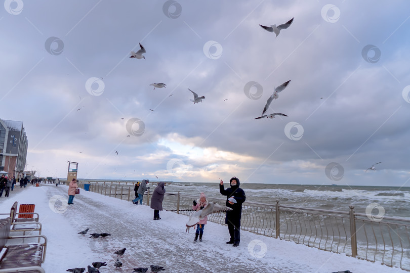 Скачать Пасмурная ветреная погода на морском курорте. Дедушка и внучка кормят птиц. фотосток Ozero