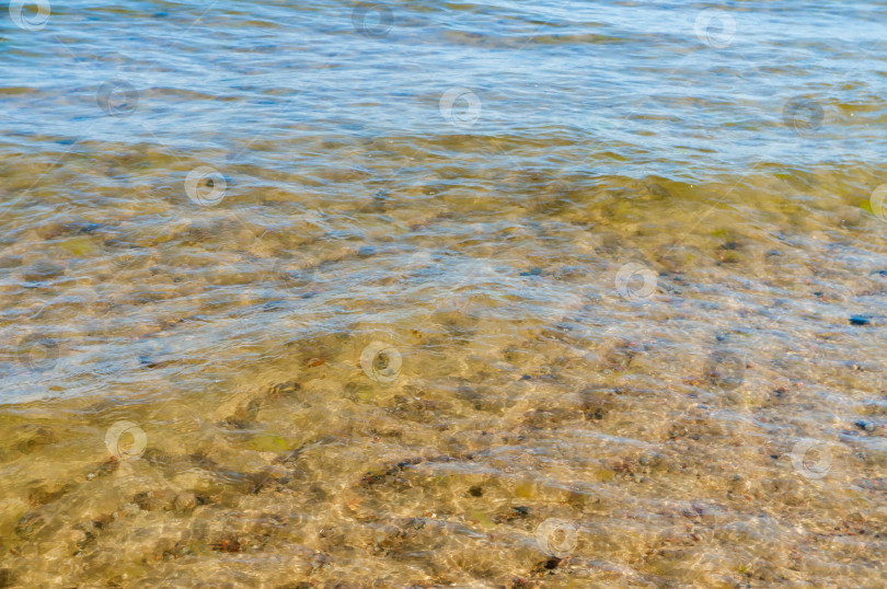 Скачать Фон - прозрачная вода. Вода с желтым оттенком. Дно водоема просвечивает сквозь толщу воды. фотосток Ozero