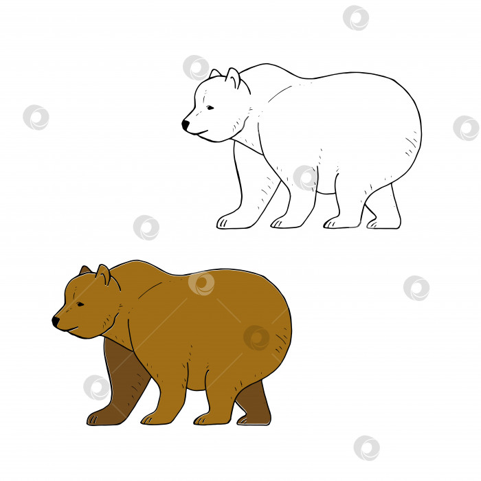 Скачать Раскраска медведя, милая детская раскраска большого медведя, векторный эскиз медведя, черно-белая векторная иллюстрация, изолированная на белом фоне фотосток Ozero