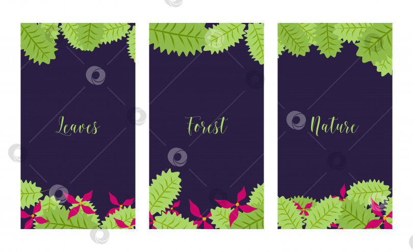 Скачать Набор баннеров для социальных сетей, цветы и листья, цветочные фоны с местом для копирования текста, векторные шаблоны. фотосток Ozero