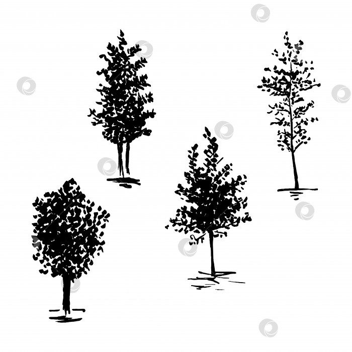 Скачать Эскиз деревьев, набор нарисованных от руки силуэтных деревьев, векторная иллюстрация, изолированная на белом фоне. фотосток Ozero