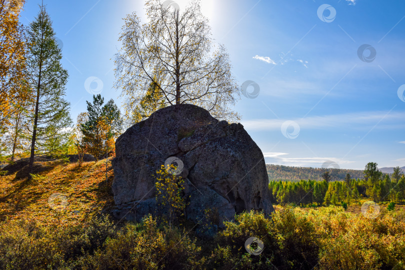 Скачать Древние горы Хакасии. Каменный парк. (Ширинские Столбы) фотосток Ozero