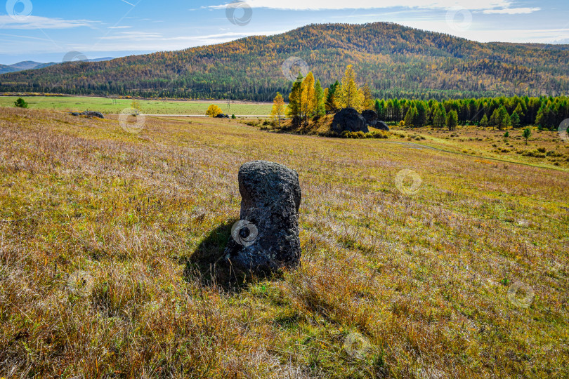 Скачать Древние горы Хакасии. Каменный парк. (Ширинские Столбы) фотосток Ozero