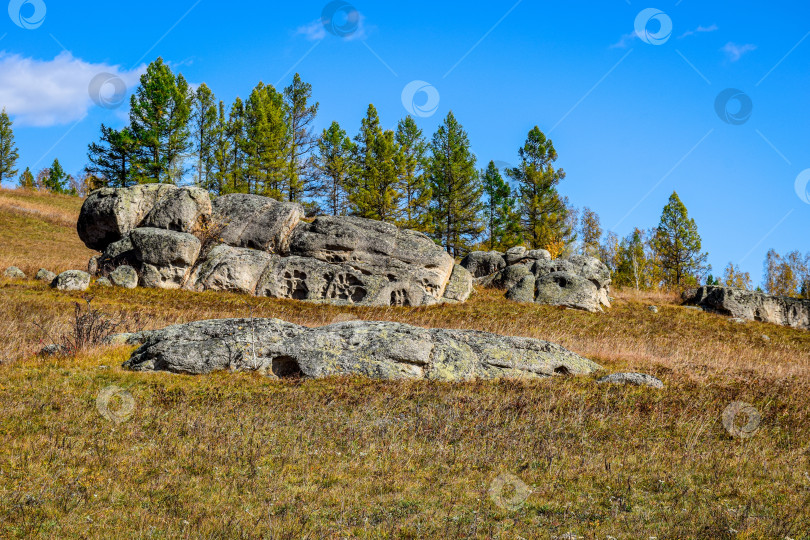 Скачать Древние горы Хакасии. Каменный парк. (Ширинские Столбы) фотосток Ozero