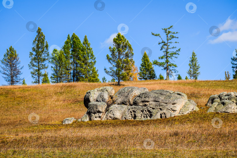 Скачать Древние горы Хакасии. Каменный парк. (Ширинские Столбы) фотосток Ozero