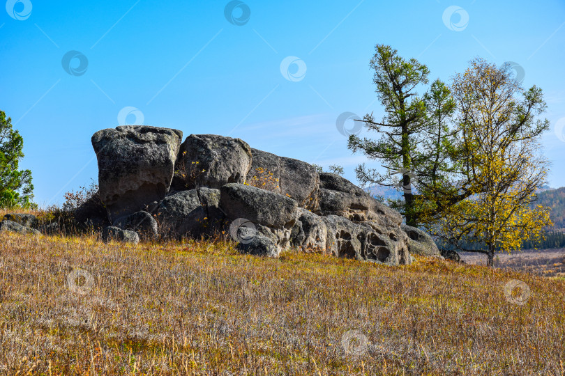 Скачать Древние горы Хакасии. Каменный парк. (Ширинские Столбы) фотосток Ozero