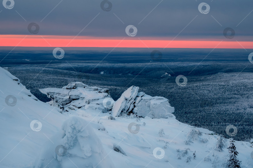 Скачать узкая алая полоска рассвета над бескрайним зимним лесом фотосток Ozero