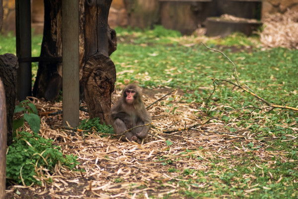 [object Object] undefined