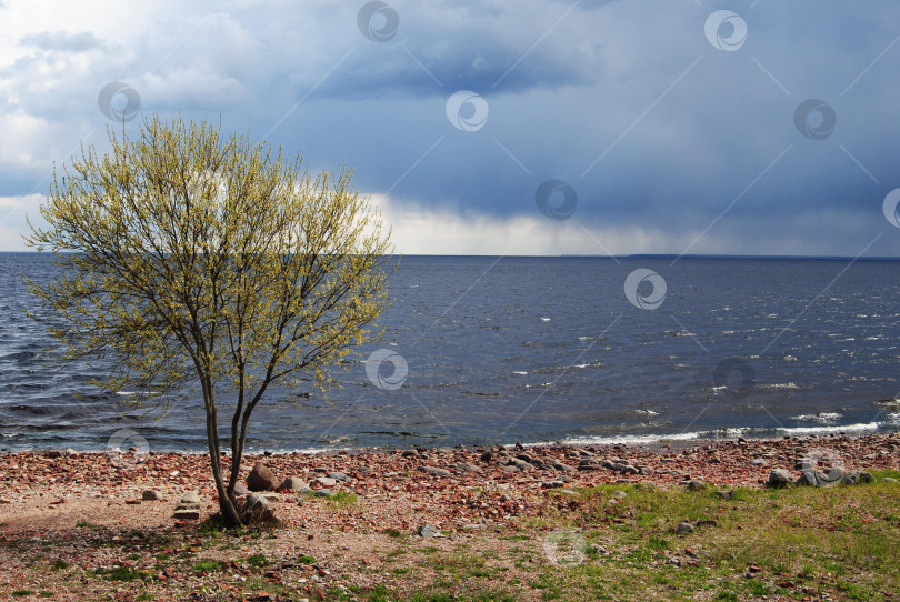 Скачать Шторм на Ладожском озере фотосток Ozero