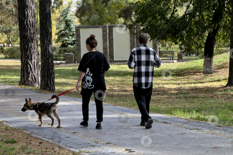 Скачать Прогулка фотосток Ozero