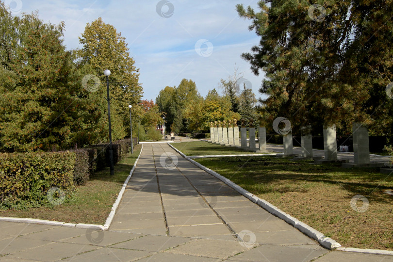 Скачать Дорога в парке фотосток Ozero