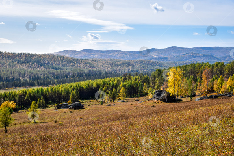 Скачать Древние горы Хакасии. Каменный парк. (Ширинские Столбы) фотосток Ozero