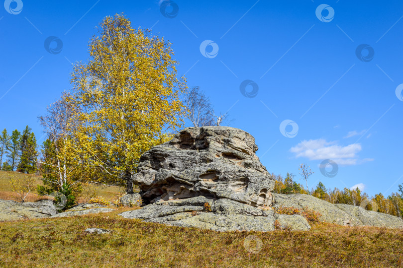 Скачать Древние горы Хакасии. Каменный парк. (Ширинские Столбы) фотосток Ozero