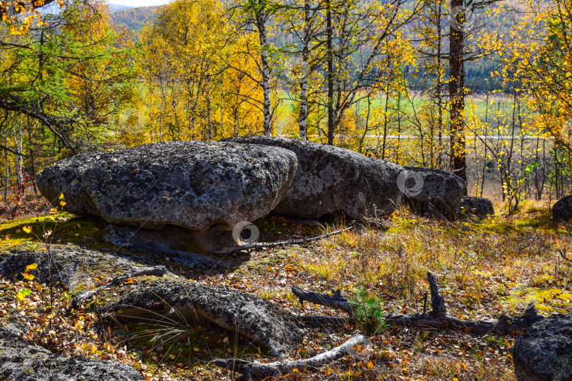 Скачать Древние горы Хакасии. Каменный парк. (Ширинские Столбы) фотосток Ozero