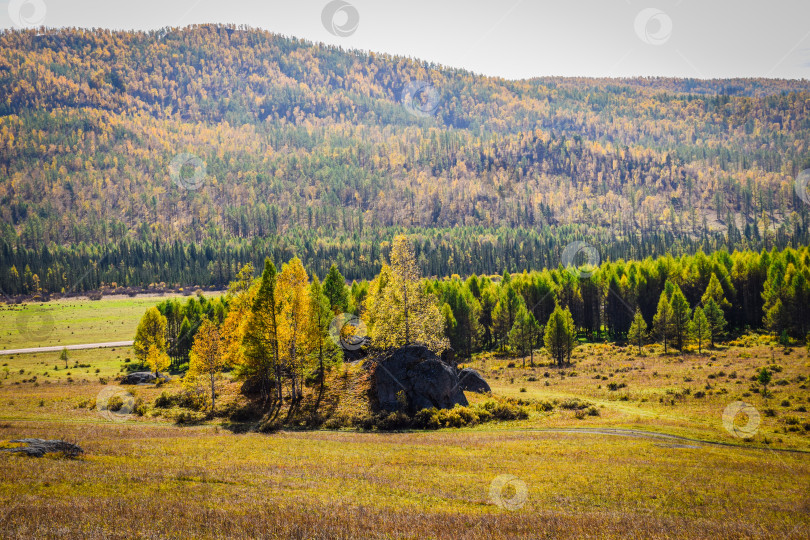 Скачать Древние горы Хакасии. Каменный парк. (Ширинские Столбы) фотосток Ozero