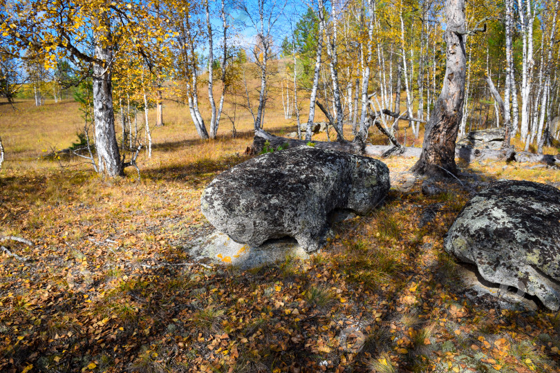 Скачать Древние горы Хакасии. Каменный парк. (Ширинские Столбы) фотосток Ozero