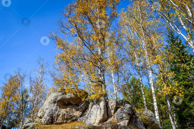 Скачать Древние горы Хакасии. Каменный парк. (Ширинские Столбы) фотосток Ozero