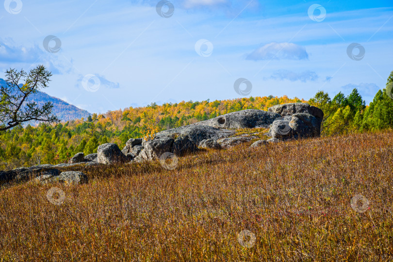 Скачать Древние горы Хакасии. Каменный парк. (Ширинские Столбы) фотосток Ozero