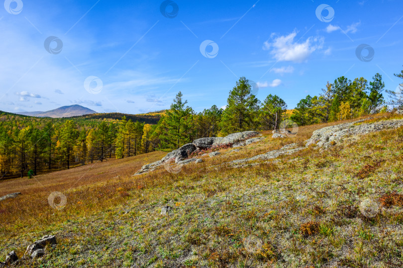 Скачать Древние горы Хакасии. Каменный парк. (Ширинские Столбы) фотосток Ozero