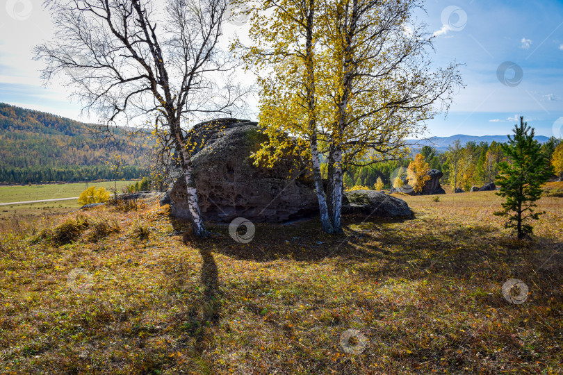 Скачать Древние горы Хакасии. Каменный парк. (Ширинские Столбы) фотосток Ozero