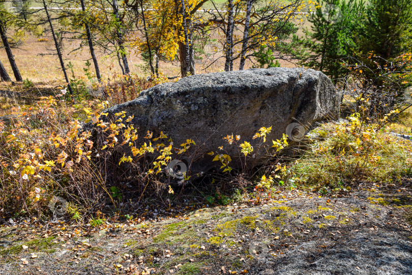 Скачать Древние горы Хакасии. Каменный парк. (Ширинские Столбы) фотосток Ozero