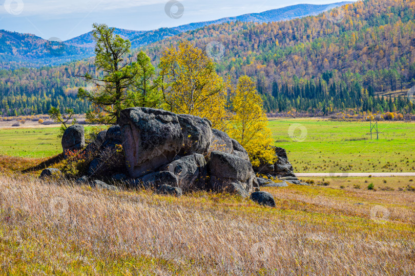 Скачать Древние горы Хакасии. Каменный парк. (Ширинские Столбы) фотосток Ozero