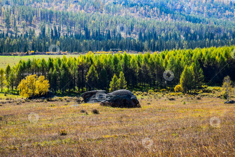 Скачать Древние горы Хакасии. Каменный парк. (Ширинские Столбы) фотосток Ozero