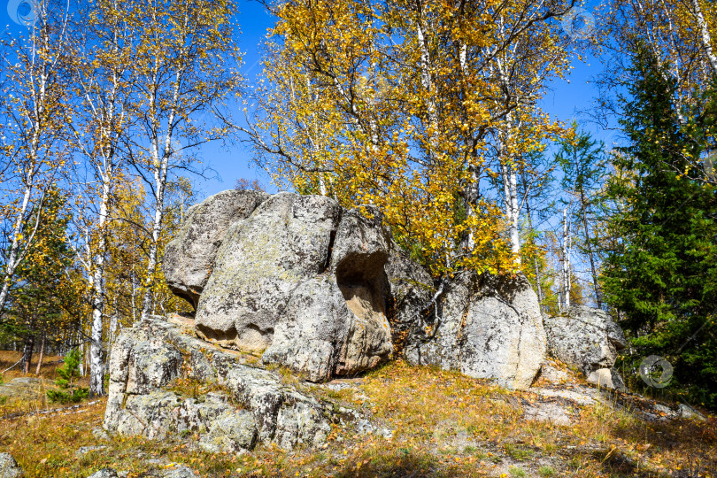 Скачать Древние горы Хакасии. Каменный парк. (Ширинские Столбы) фотосток Ozero