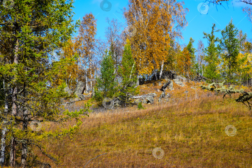 Скачать Древние горы Хакасии. Каменный парк. (Ширинские Столбы) фотосток Ozero