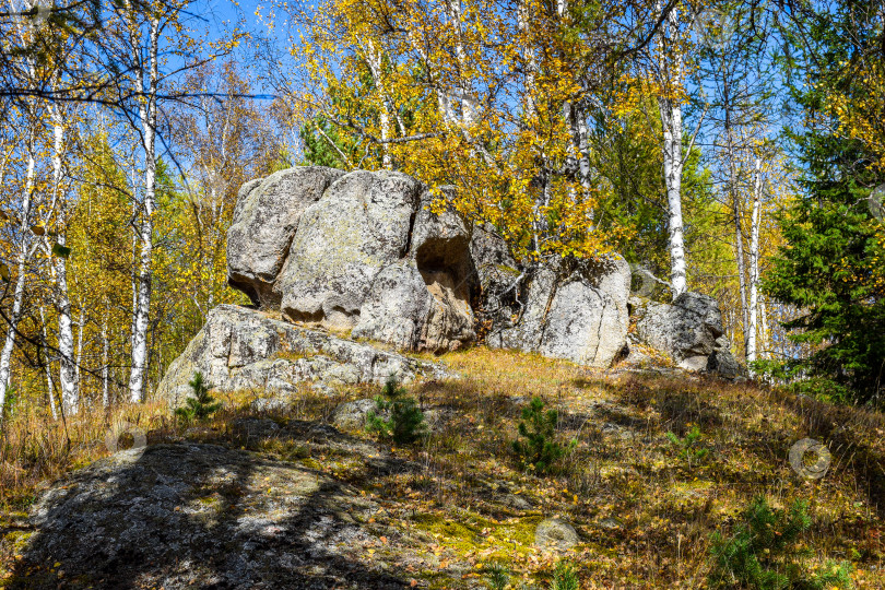 Скачать Древние горы Хакасии. Каменный парк. (Ширинские Столбы) фотосток Ozero