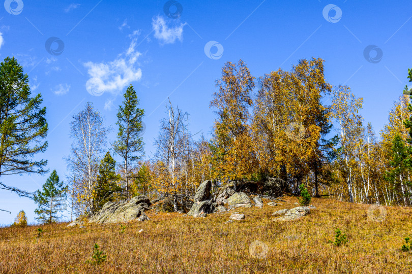 Скачать Древние горы Хакасии. Каменный парк. (Ширинские Столбы) фотосток Ozero