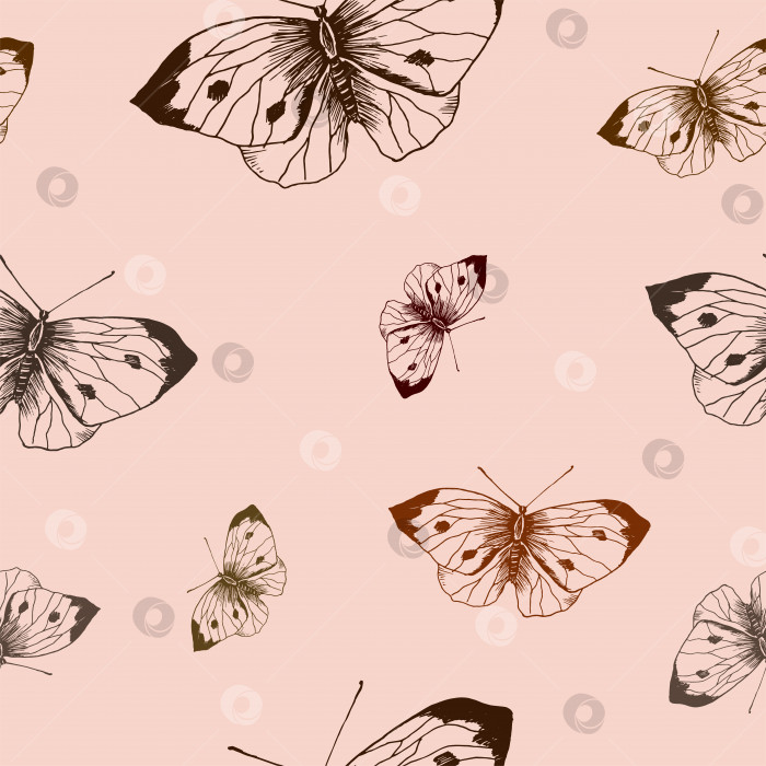 Скачать Узор в виде бабочки. Нарисованные от руки коричневые бабочки на розовом фоне. Бесшовный векторный фон фотосток Ozero