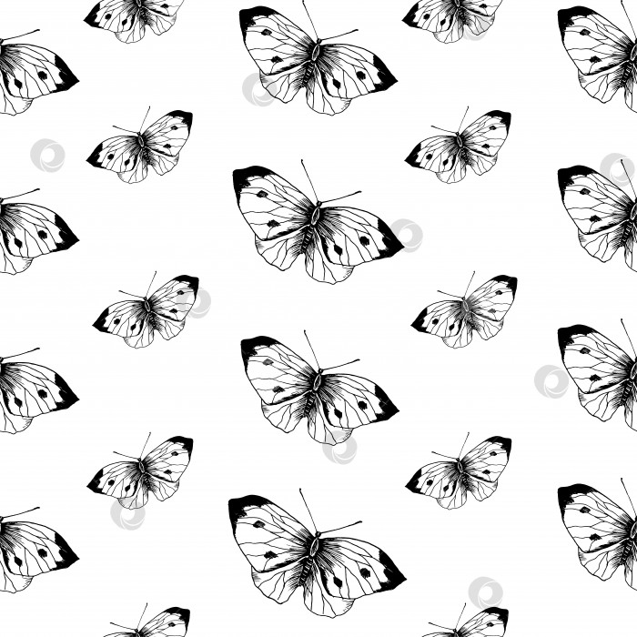 Скачать Эскиз бабочки с рисунком. Нарисованные от руки насекомые-бабочки капусты на белом фоне. Бесшовный векторный фон. фотосток Ozero