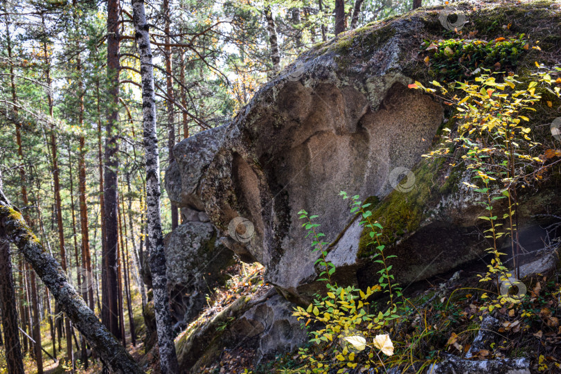 Скачать Древние горы Хакасии. Каменный парк. (Ширинские Столбы) фотосток Ozero