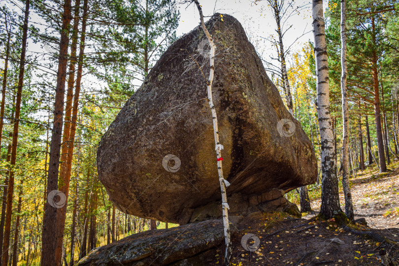 Скачать Древние горы Хакасии. Каменный парк. (Ширинские Столбы) фотосток Ozero