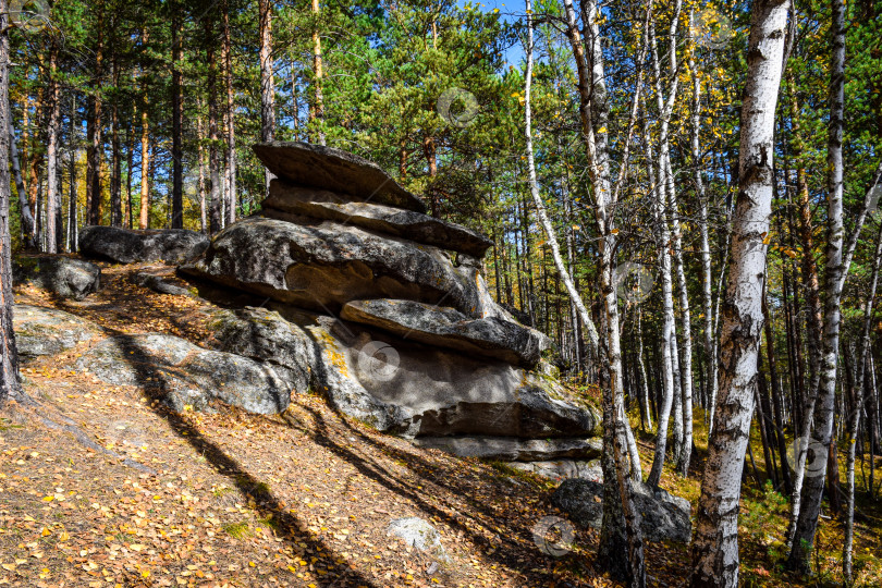 Скачать Древние горы Хакасии. Каменный парк. (Ширинские Столбы) фотосток Ozero