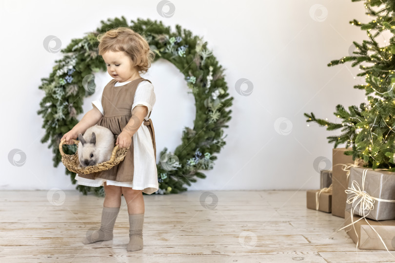 Скачать Маленькая девочка держит корзинку с кроликом на фоне рождественских украшений. Символ нового 2023 года. фотосток Ozero
