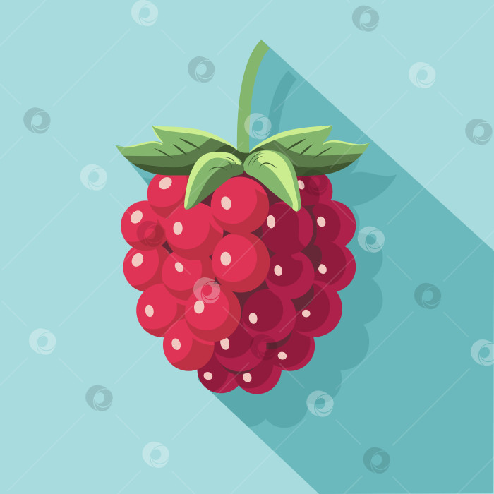 Скачать Векторная иллюстрация Raspberry выполнена в плоском дизайнерском стиле с простыми формами и четкими линиями фотосток Ozero