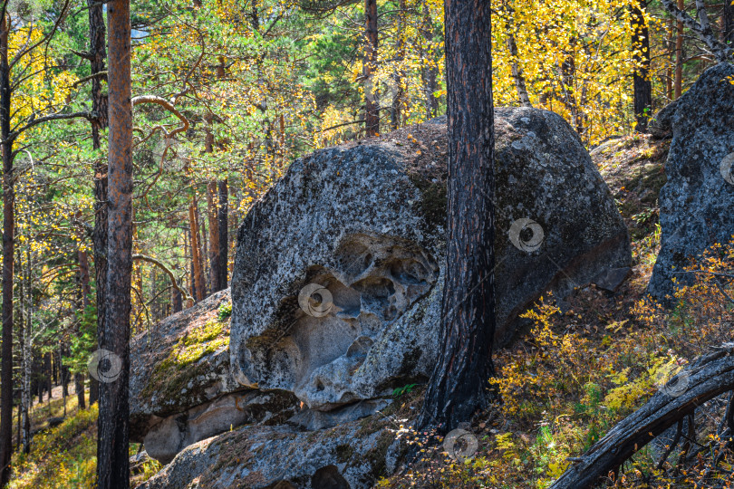 Скачать Древние горы Хакасии. Каменный парк. (Ширинские Столбы) фотосток Ozero