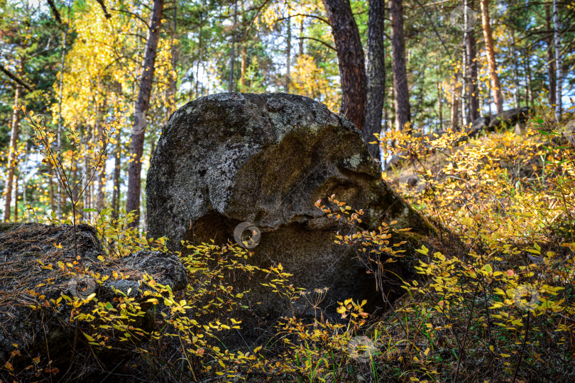 Скачать Древние горы Хакасии. Каменный парк. (Ширинские Столбы) фотосток Ozero