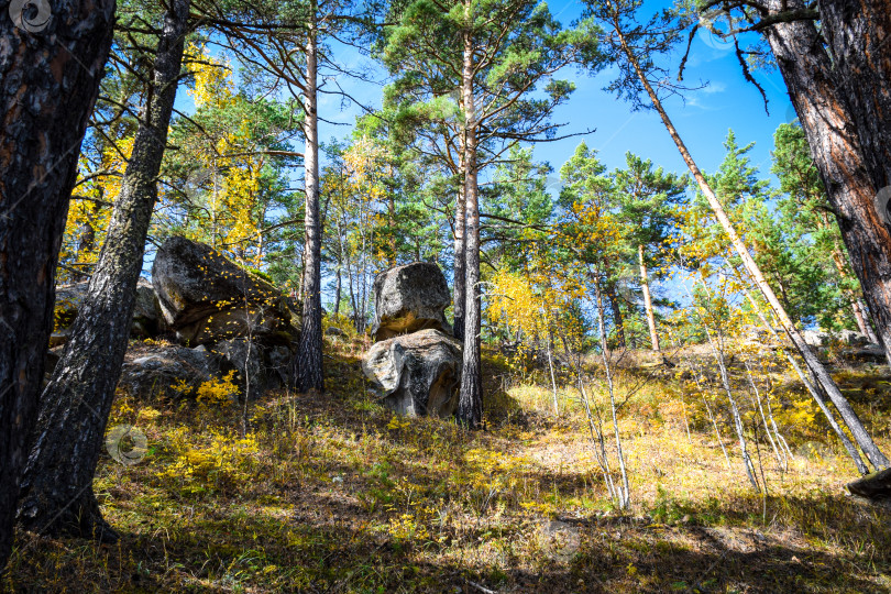 Скачать Древние горы Хакасии. Каменный парк. (Ширинские Столбы) фотосток Ozero