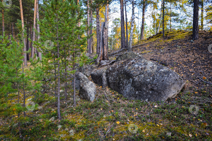 Скачать Древние горы Хакасии. Каменный парк. (Ширинские Столбы) фотосток Ozero