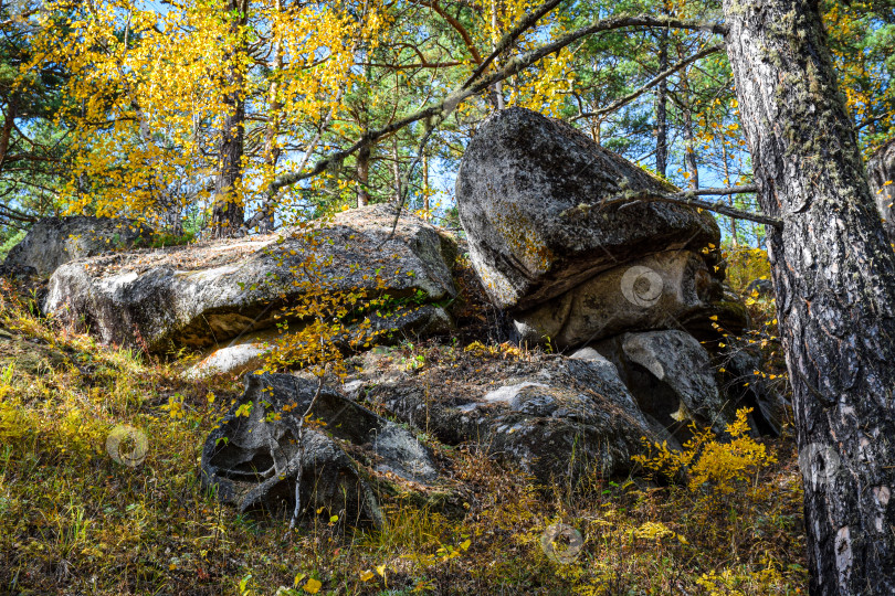 Скачать Древние горы Хакасии. Каменный парк. (Ширинские Столбы) фотосток Ozero