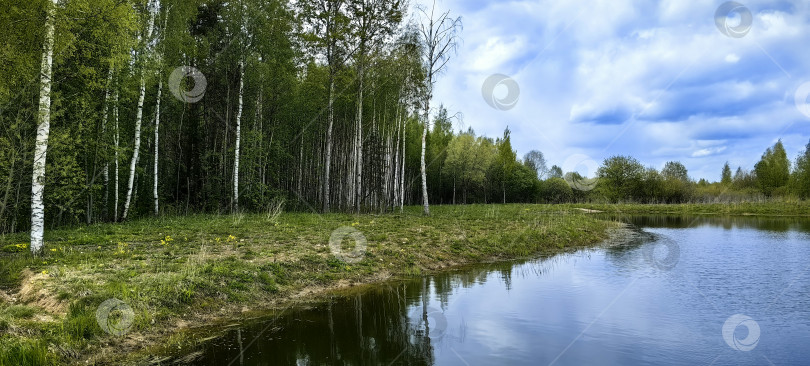 Скачать Завидово. Озеро на краю леса. фотосток Ozero