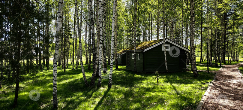 Скачать Завидово. Загородный домик в лесу. фотосток Ozero