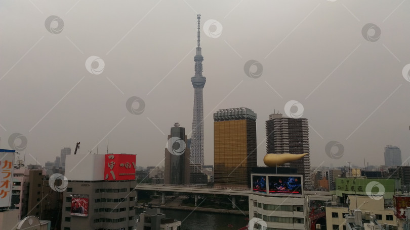 Скачать Токио в пасмурный дождливый день. Баня Tokyo Sky Tree в Японии фотосток Ozero