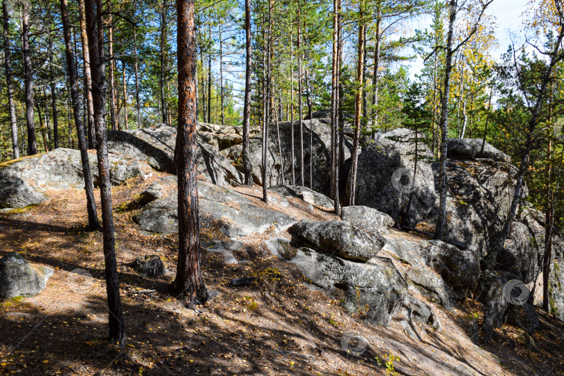 Скачать Древние горы Хакасии. Каменный парк. (Ширинские Столбы) фотосток Ozero